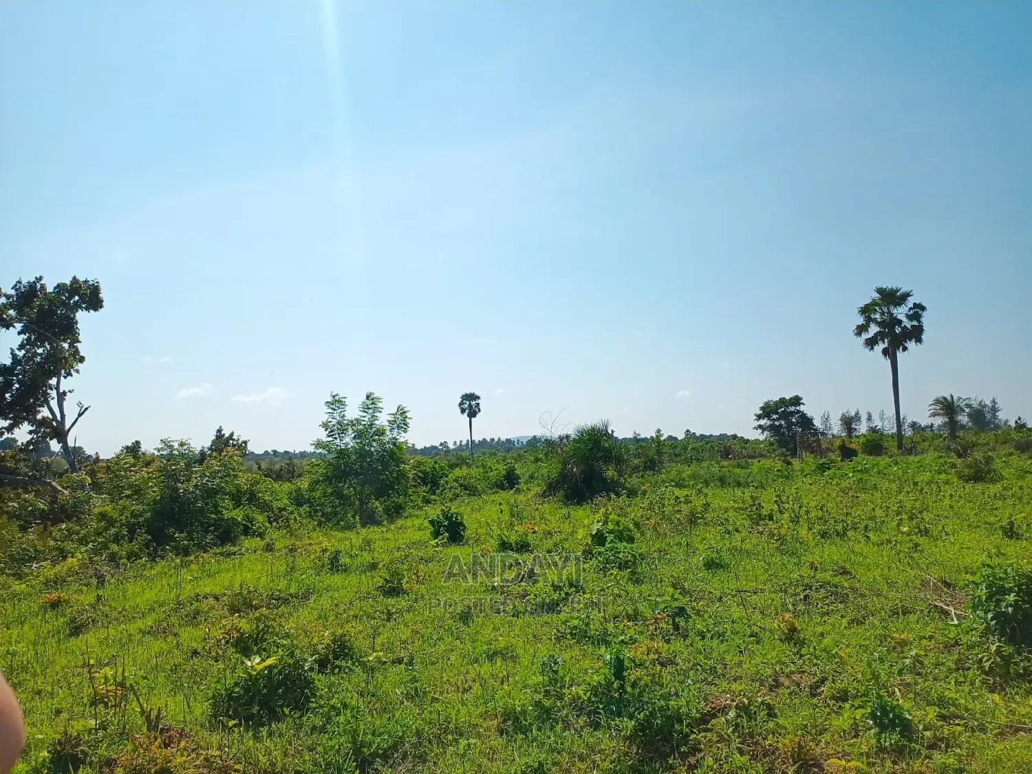 2 Acres Land for Sale in Ramisi, Kwale County - Perfect for Development in Ramisi