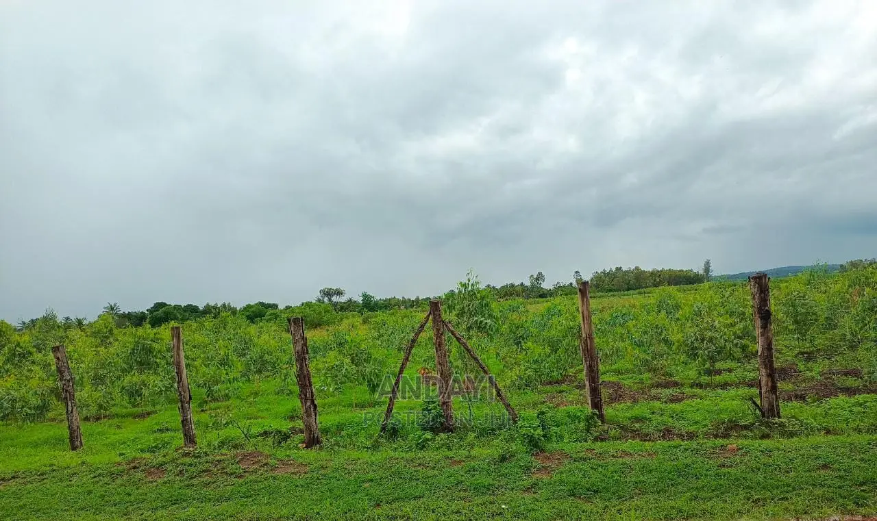2 Acres Land for Sale in Ramisi, Kwale County - Perfect for Development in Ramisi