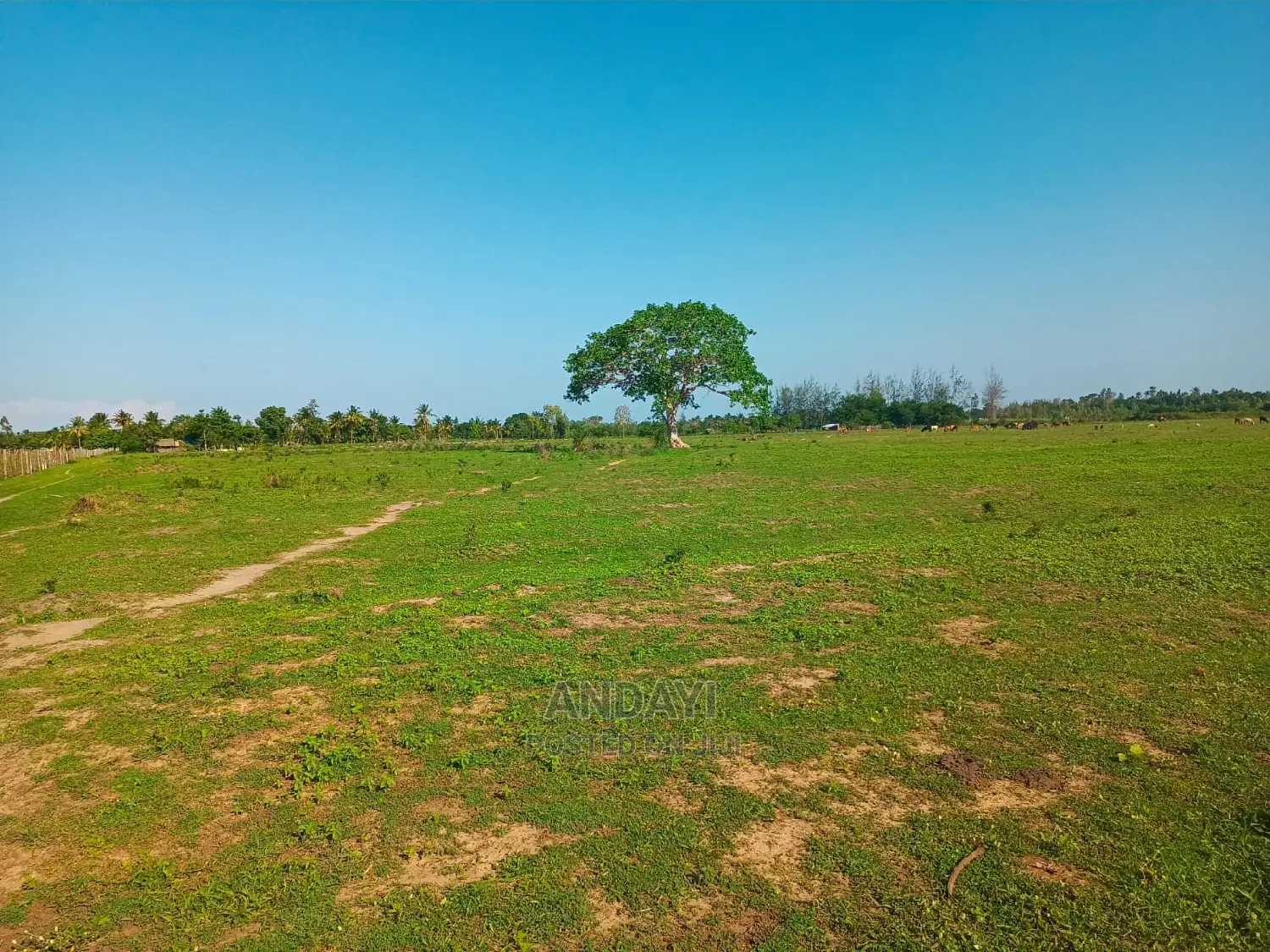 2 Acres Land for Sale in Ramisi, Kwale County - Perfect for Development in Ramisi