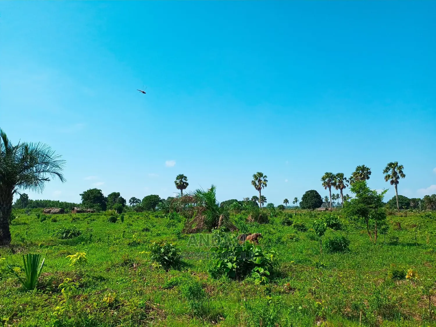 2 Acres Land for Sale in Ramisi, Kwale County - Perfect for Development in Ramisi