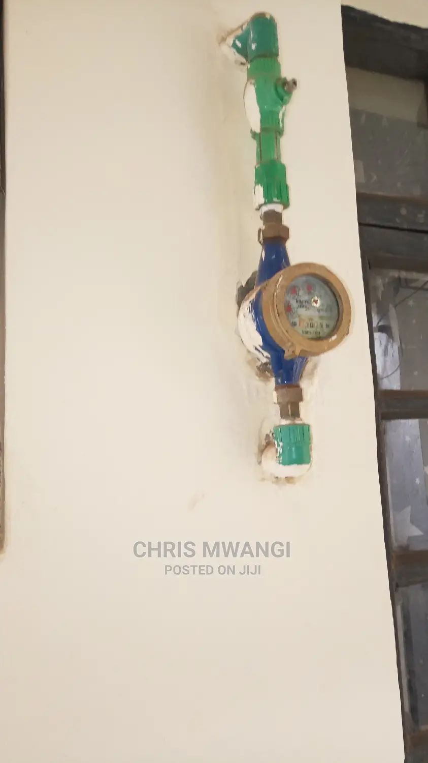 Modern 1-Bedroom Apartment in Kahawandani Available Now in Kahawa Wendani