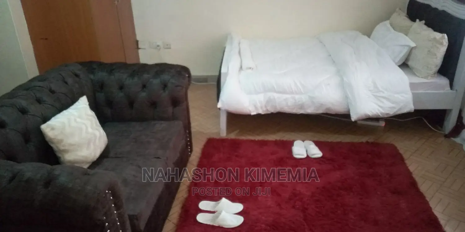 Modern Airbnb Studio in TRM Drive, Roysambu, Thika Road in Roysambu