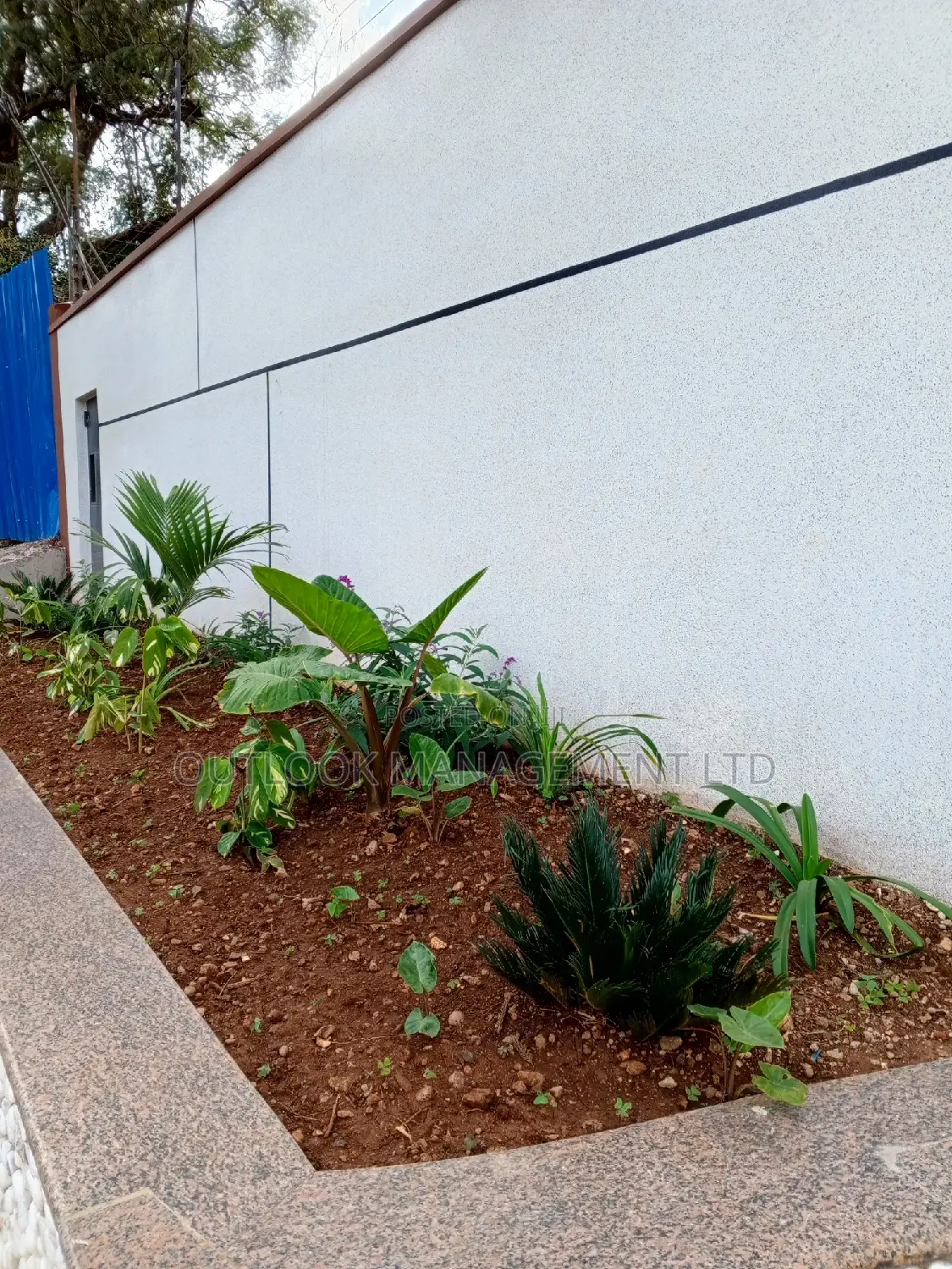 Spacious 2-Bedroom Apartment Available for Lease in Upperhill, Nairobi in Upperhill