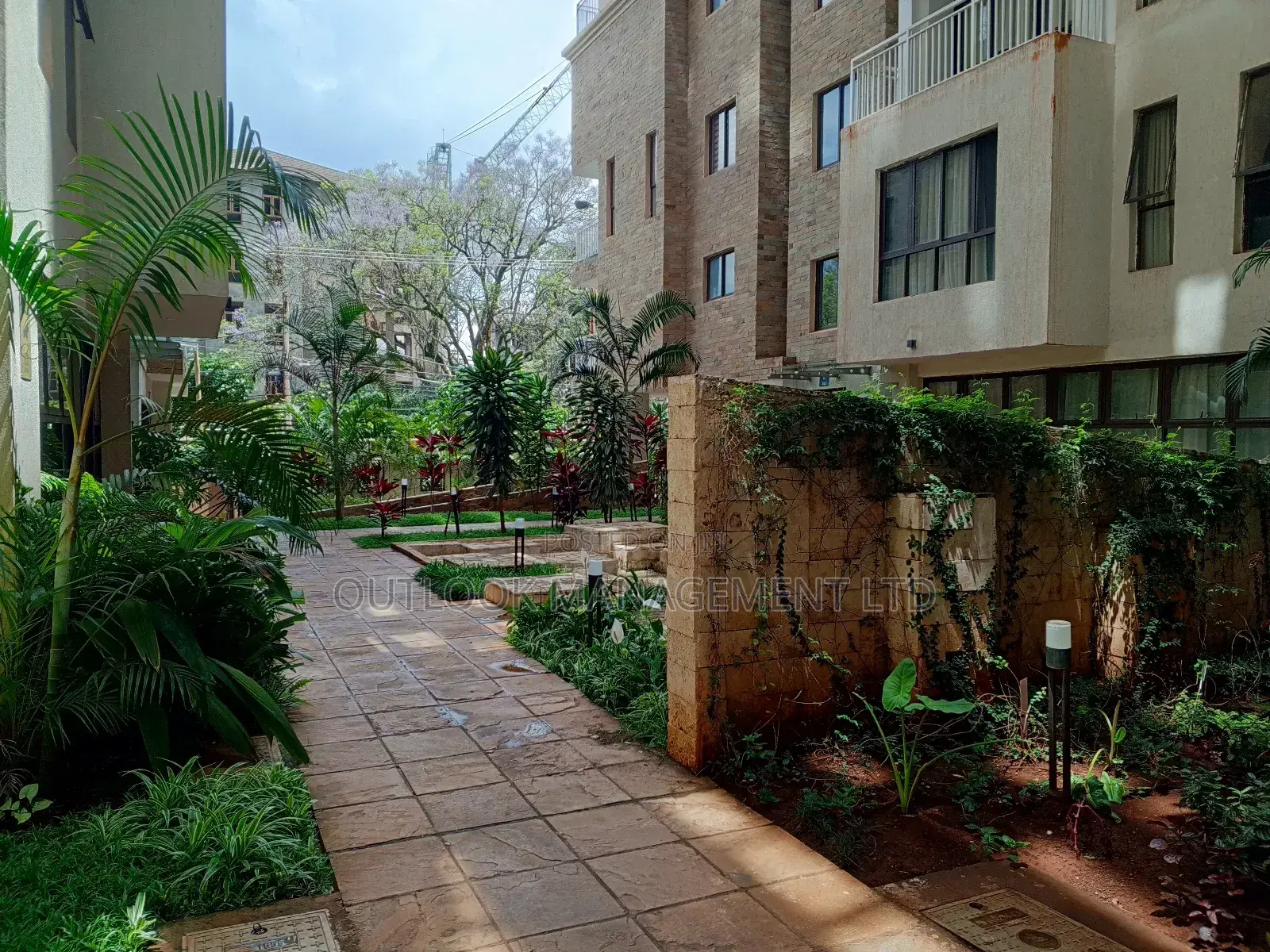Executive Studio to Let in Kilimani in Kilimani