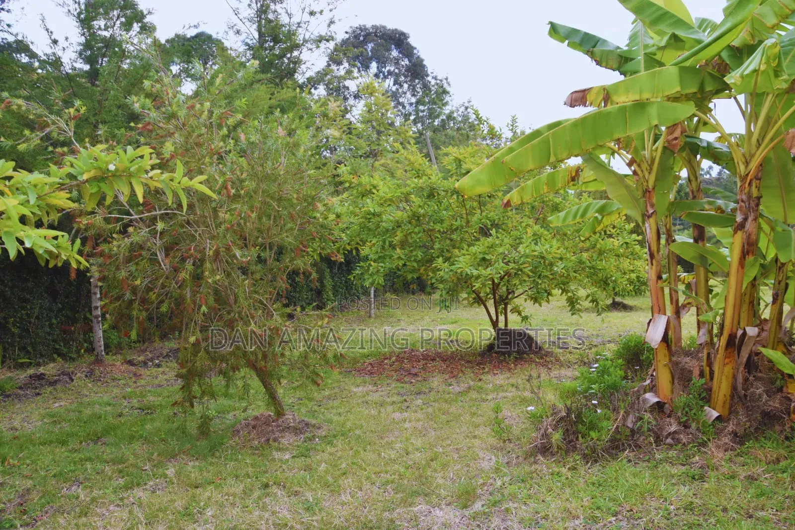 Airbnb Kiserian for Short and Camping Stays Available in Kiserian