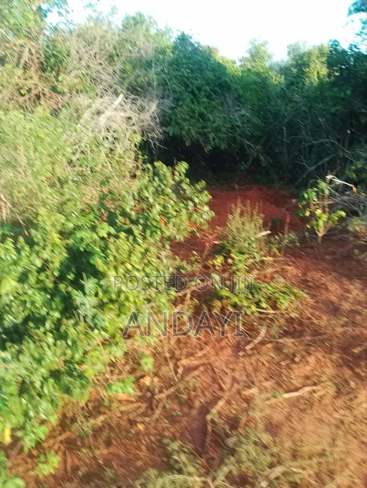 30 Acres Farmland For Sale in Malindi