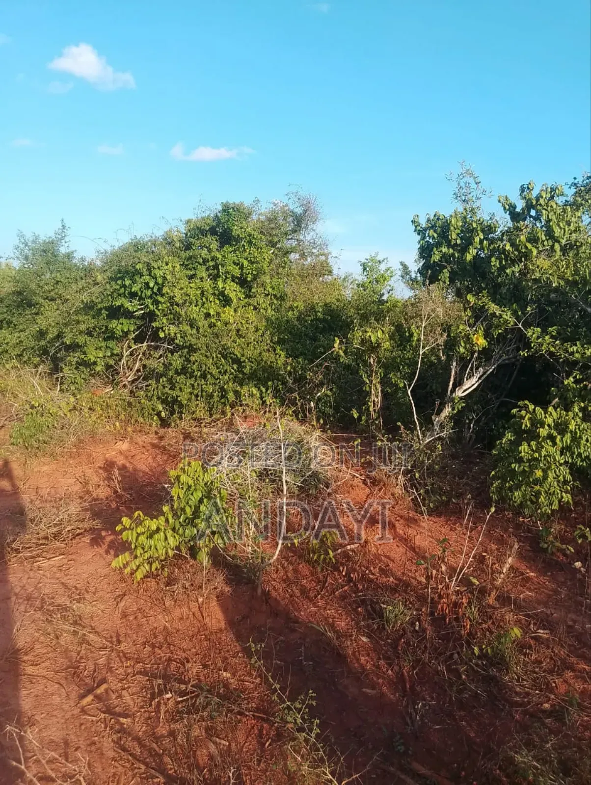 30 Acres Farmland For Sale in Malindi