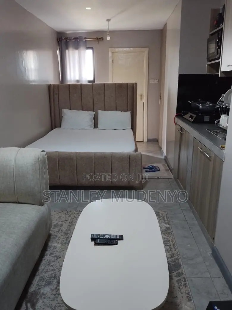 Studio Air BNB at Tsavo Fedha in Fedha