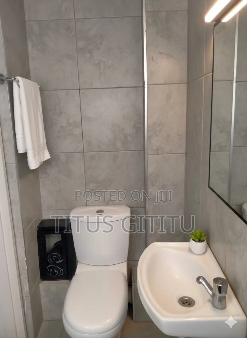 Modern Studio Airbnb in Roysambu | Prime Location Near TRM | KSH 2000 in Roysambu
