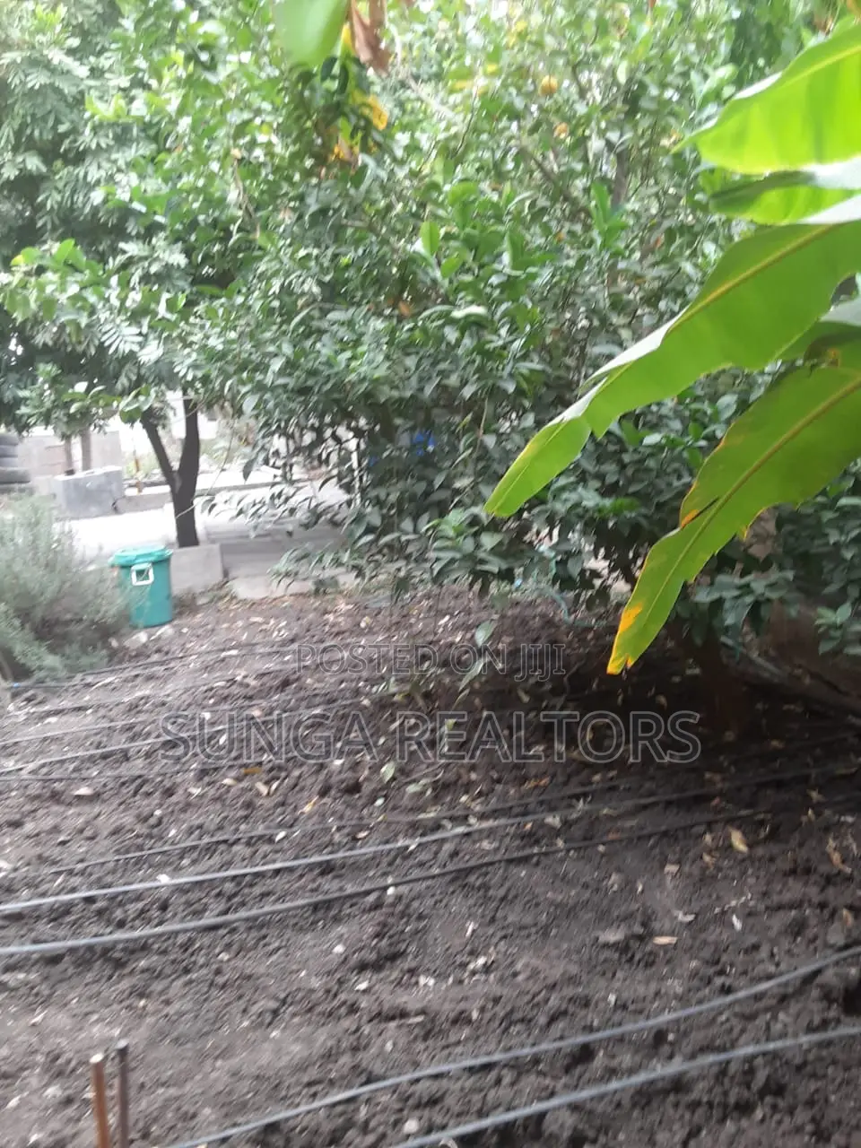 5bdrm Maisonette in Milimani, Kitengela for sale in Kitengela