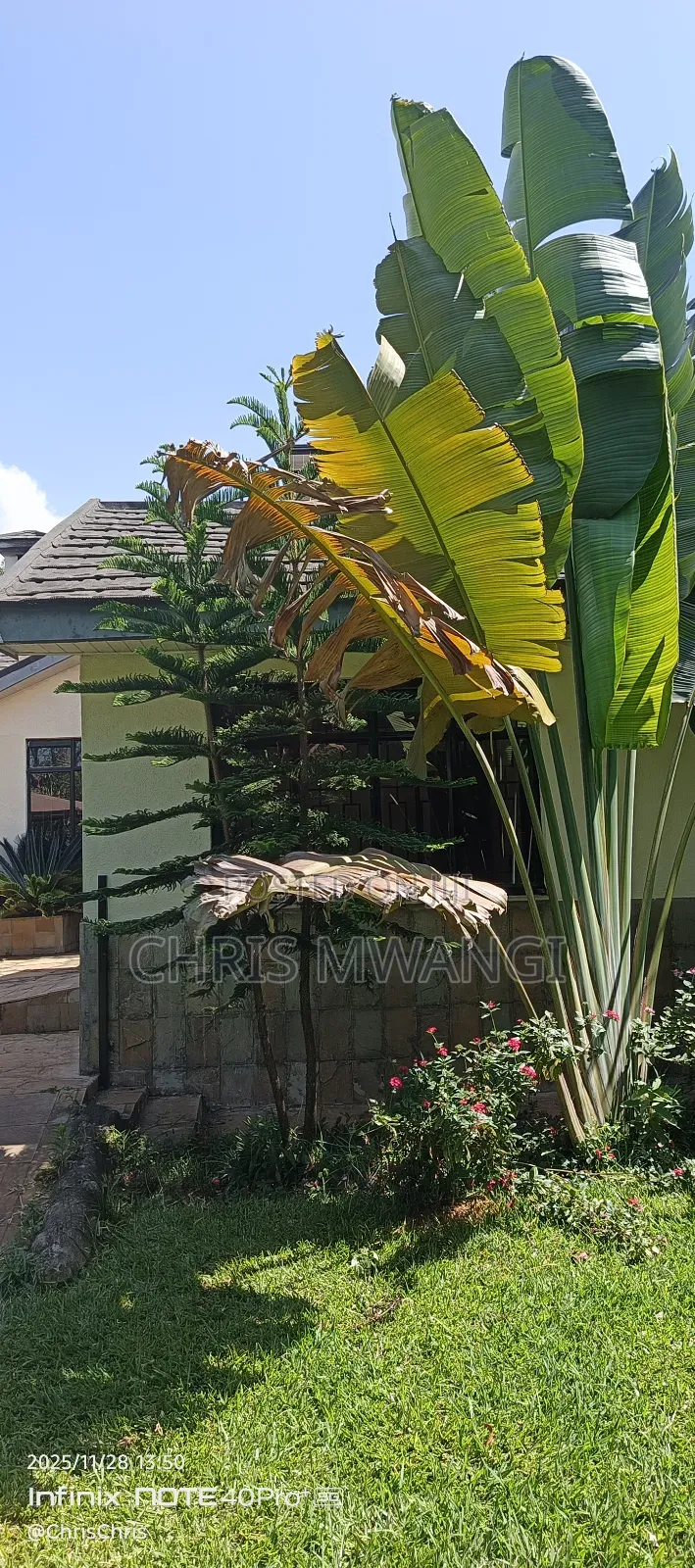 4bdrm Mansion in Mimosa, Runda for sale in Runda