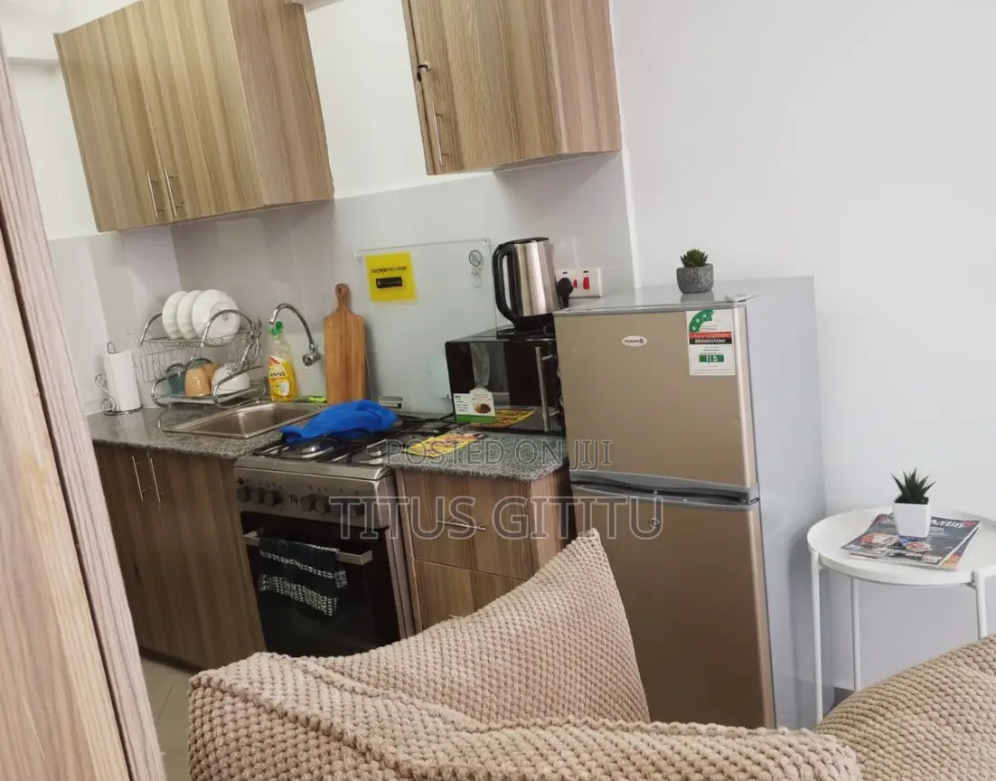 Affordable Studio Airbnb Ngara | Near CBD Kicd | in Ngara