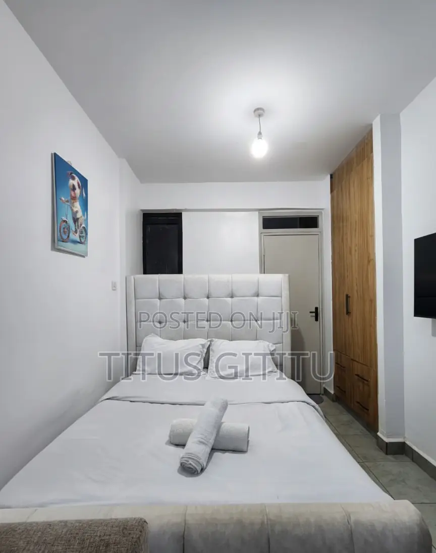 Cozy Studio Airbnb Roysambu | Near Safari Park Kasarani Stadium | in Roysambu