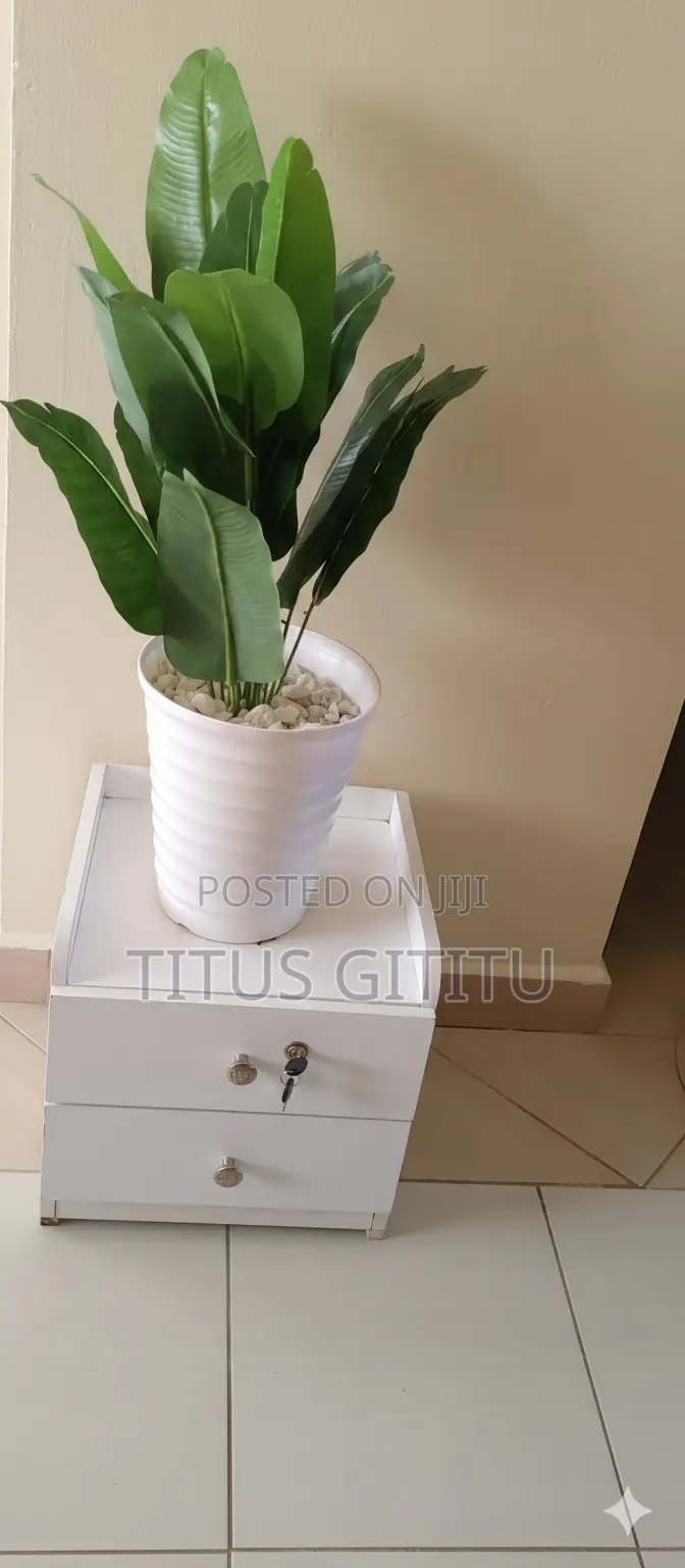 Nyali Studio Beach Road | Near Cinemax Breeze | Secure | in Nyali Mkomani