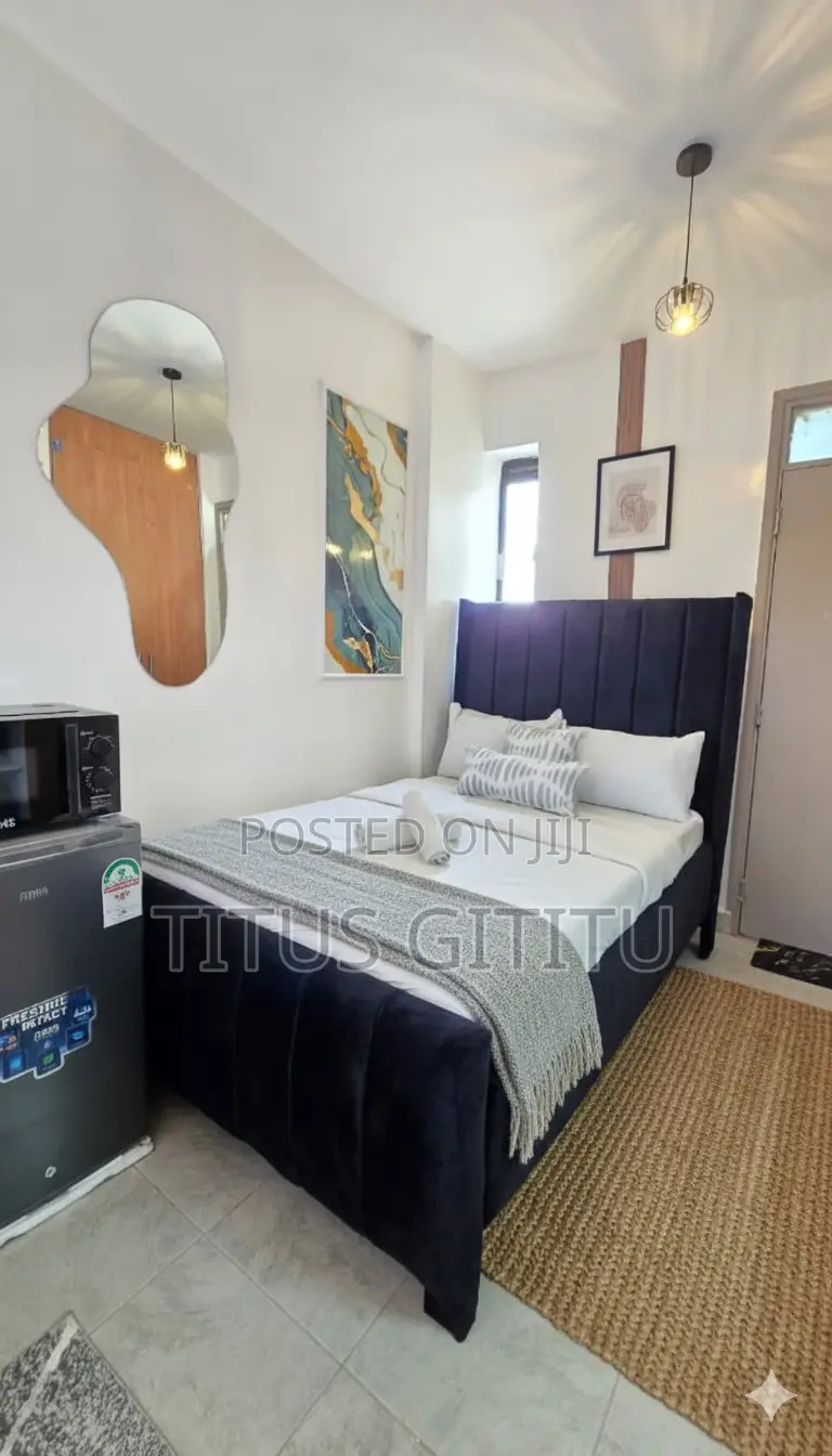 Affordable Studio Roysambu Near TRM | Safari Park | Thika Rd | in Roysambu