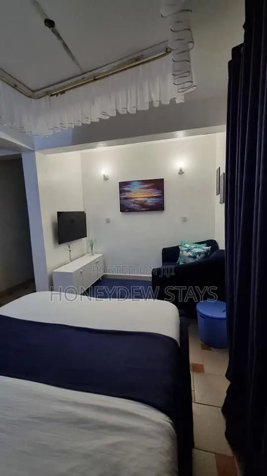 Executive Furnished Studio Airbnb in Milimani, Kisumu in Carwash