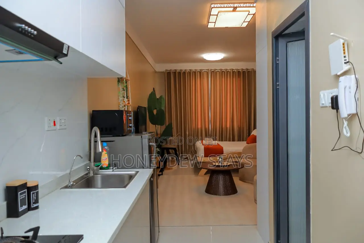 Furnished Studio at Sabaki Near Signature Mall, Mombasa Road in Mlolongo