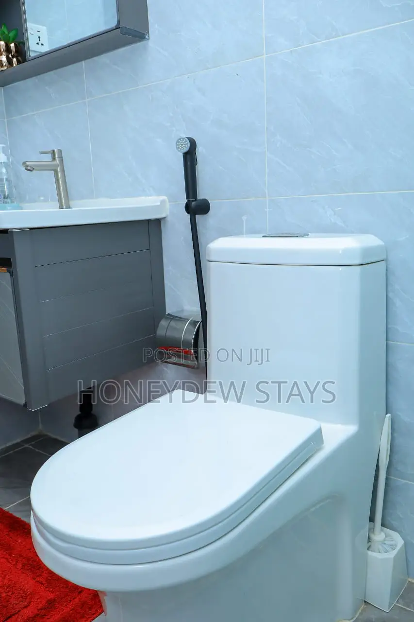 Furnished Studio at Sabaki Near Signature Mall, Mombasa Road in Mlolongo