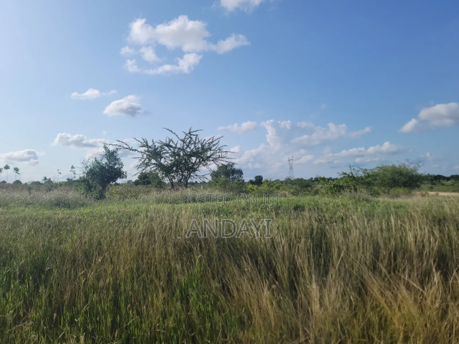 Land for Sale in Malindi Kakoneni in Kakuyuni