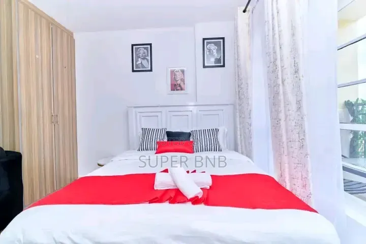 Furnished BNB Studio Apartment Available for Accommodation in Ngara, in Ngara