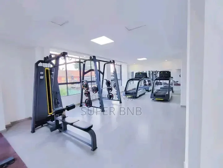 Furnished Studio 1 Bedroom Airbnb Apartment in Lavington Kilimani Nai in Muthangari