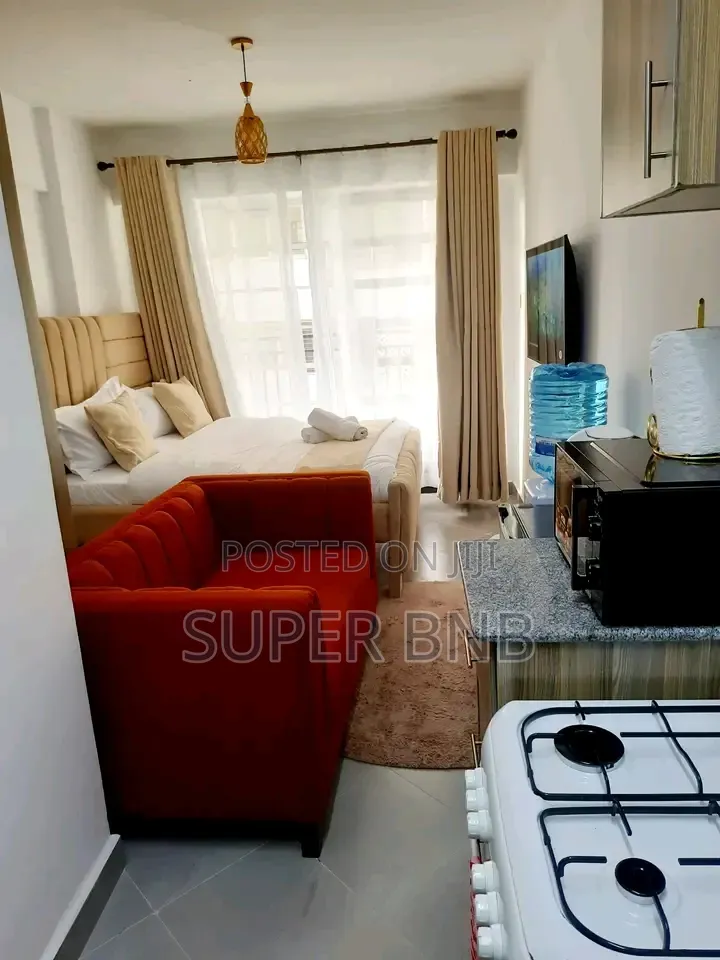 Furnished Studio One Bedroom Apartments South B in South B