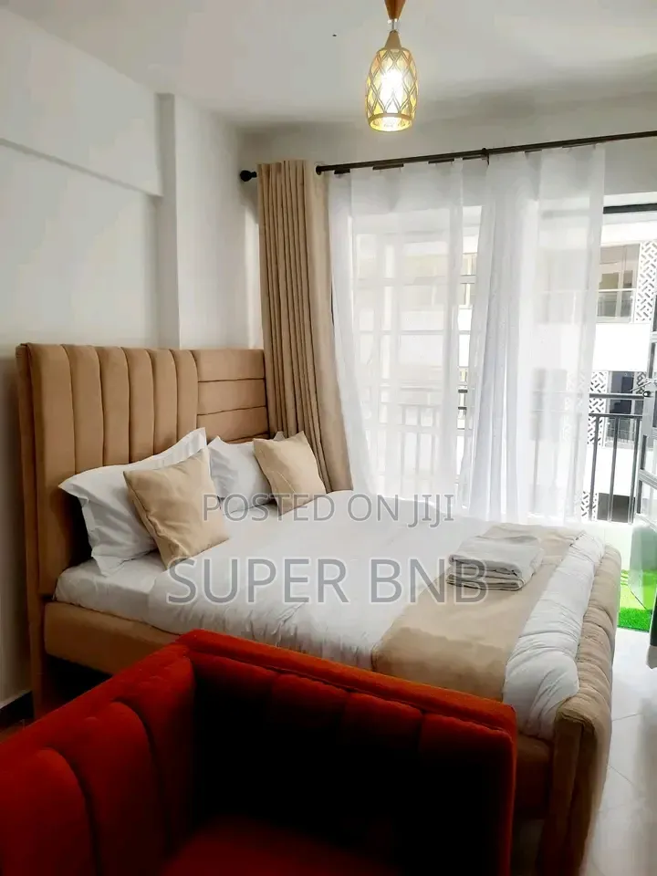 Furnished Studio One Bedroom Apartments South B in South B