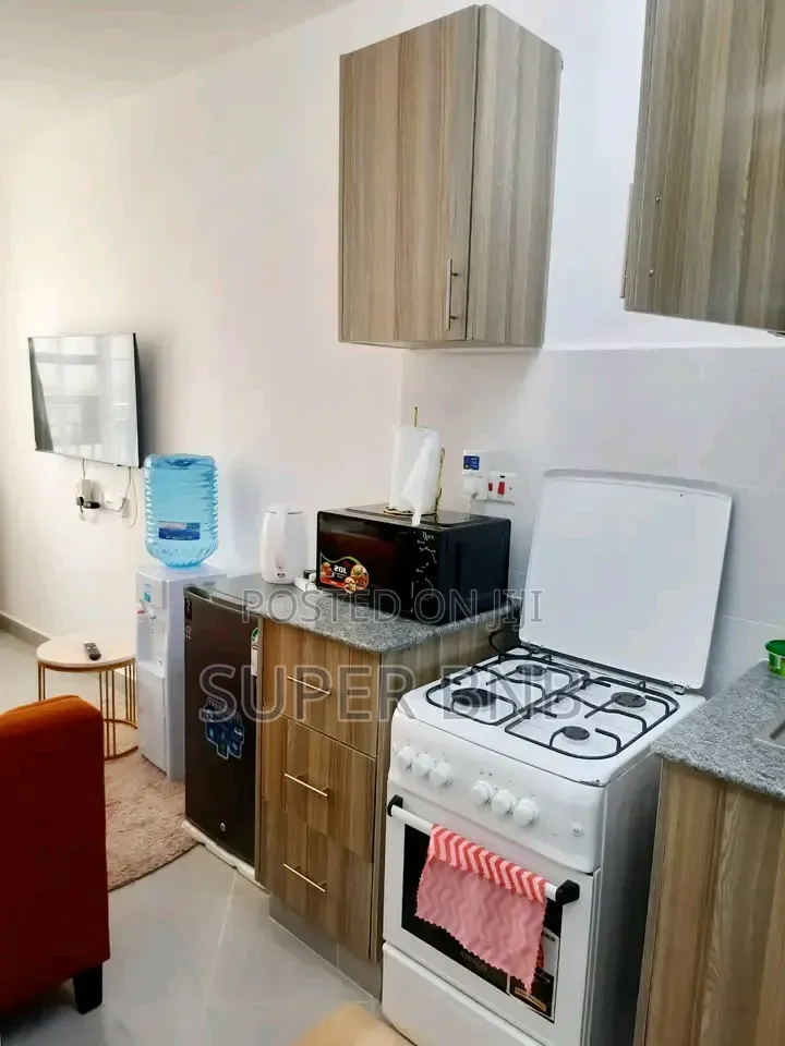Furnished Studio One Bedroom Apartments South B in South B