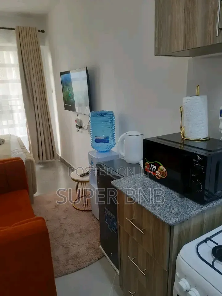 Furnished Studio One Bedroom Apartments South B in South B