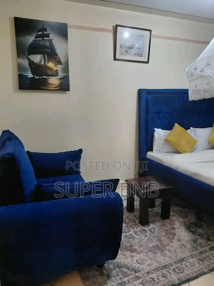 Studio and Bedsitter Available in South B in South B