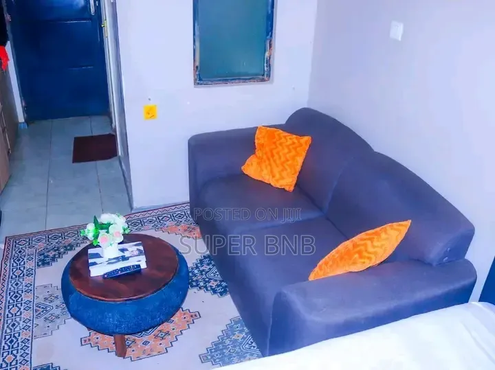Studios,1 2 Bedroom Airbnb Apartments in Ngong Road in Valley Arcade
