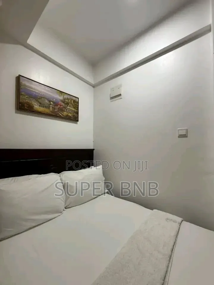 Executive 1 2 Bedroom in Oj Membley ~ Ruiru in Kamakis