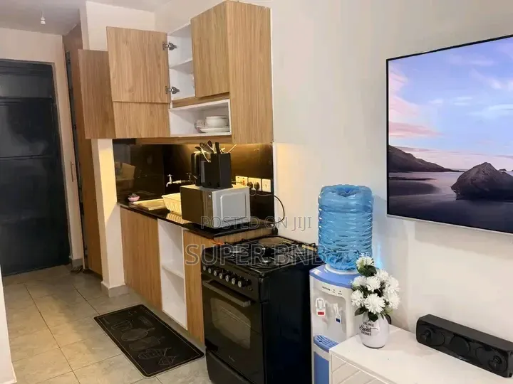 Airbnb Roysambu,Trm, Tsavo Royal Suburbs Studio Day Rest -3 HRS in Roysambu