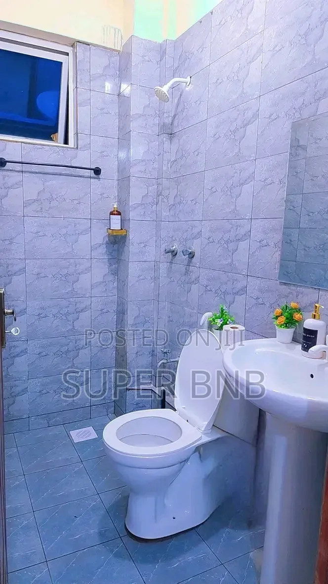 Furnished 1 2 Bedroom Apartments in Mombasa Bamburi Nyali Centre in Bamburi Beach