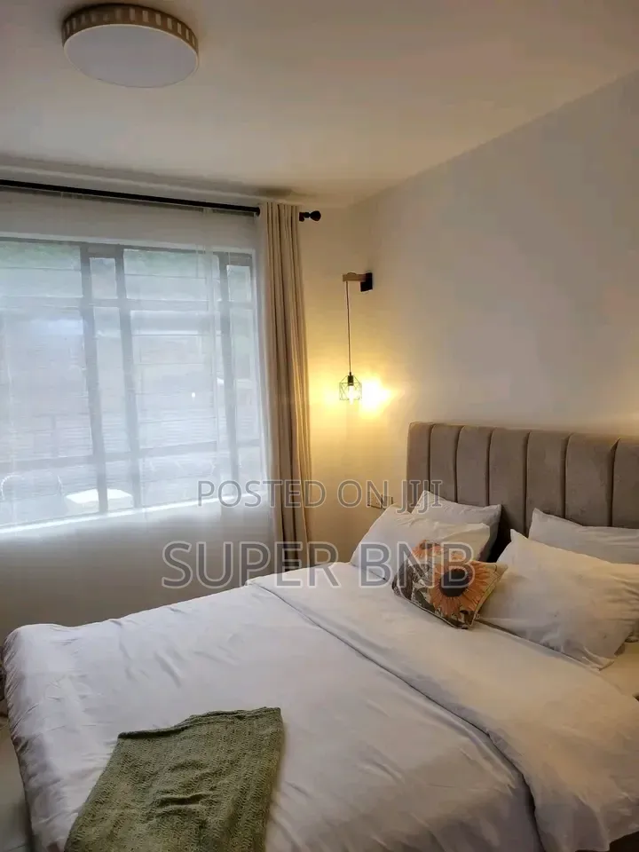 Furnished Studio, 1 2 Bedroom Airbnb Units in Homabay Town in Langata