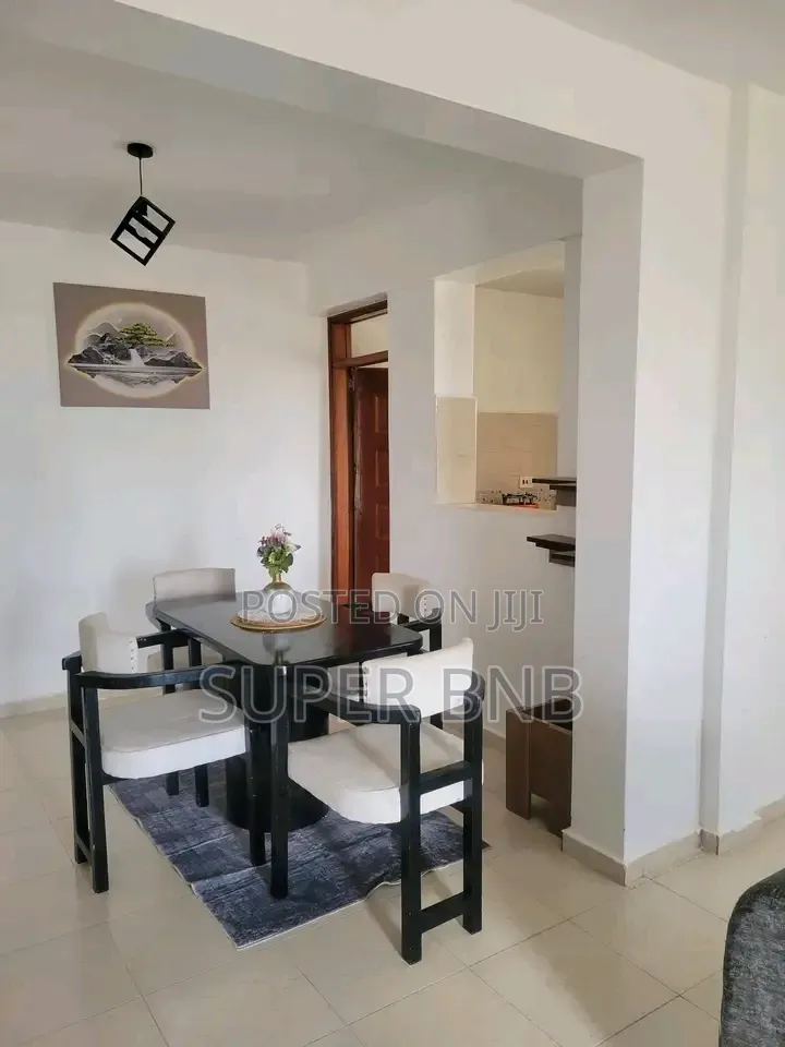 Furnished Studio, 1 2 Bedroom Airbnb Units in Homabay Town in Langata