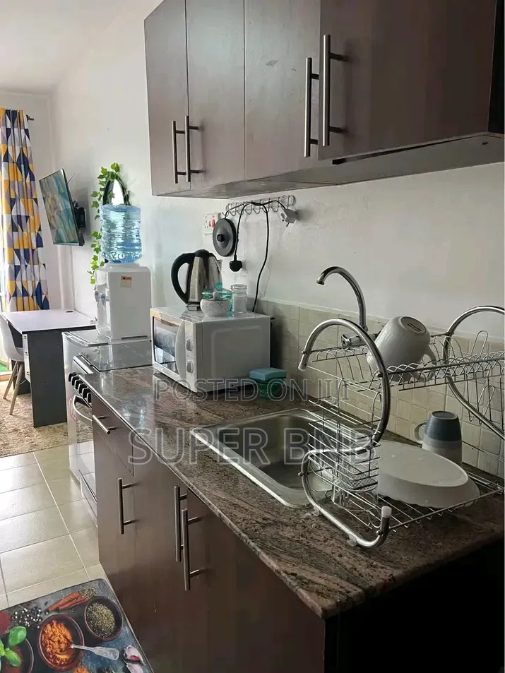 Fully Furnished Studio Air BNB Apartment to-Let in Ruaka in Nairobi Central