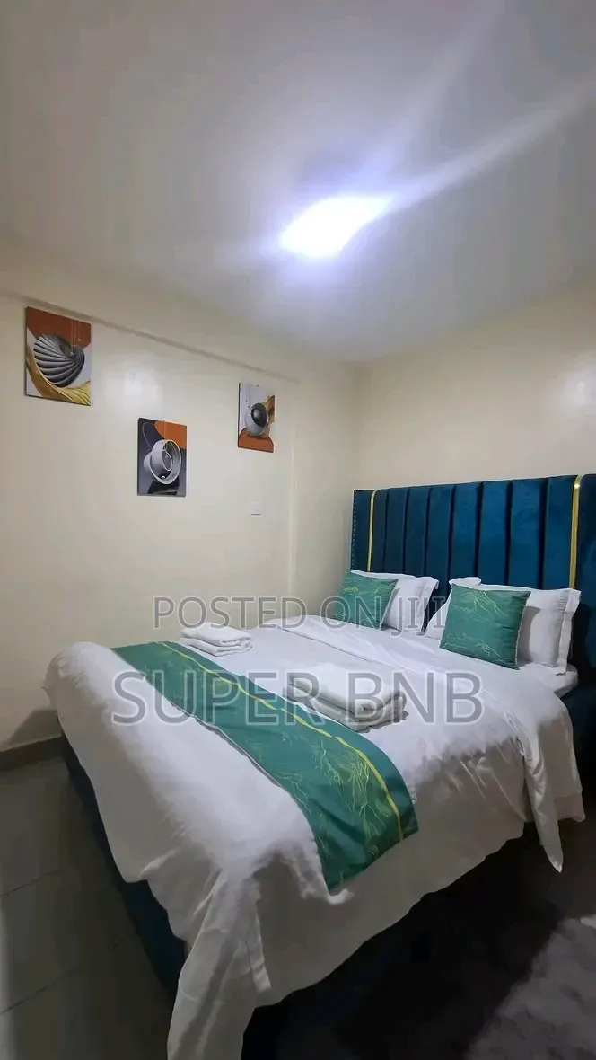 Furnished Apartments Airbnb Bedsitter 1bedroom 2bedroom in Nairobi Central