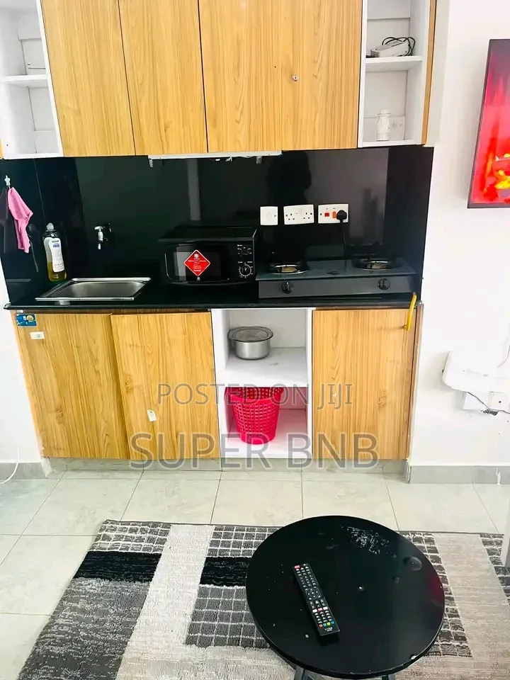 Fully Furnished Studio Apartment at Tsavo Fedha in Fedha