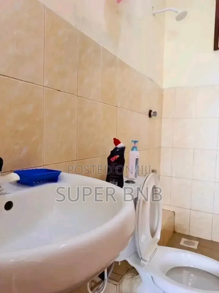 Executive Studio Apartment in Shanzu Along Serena Road in Shanzu