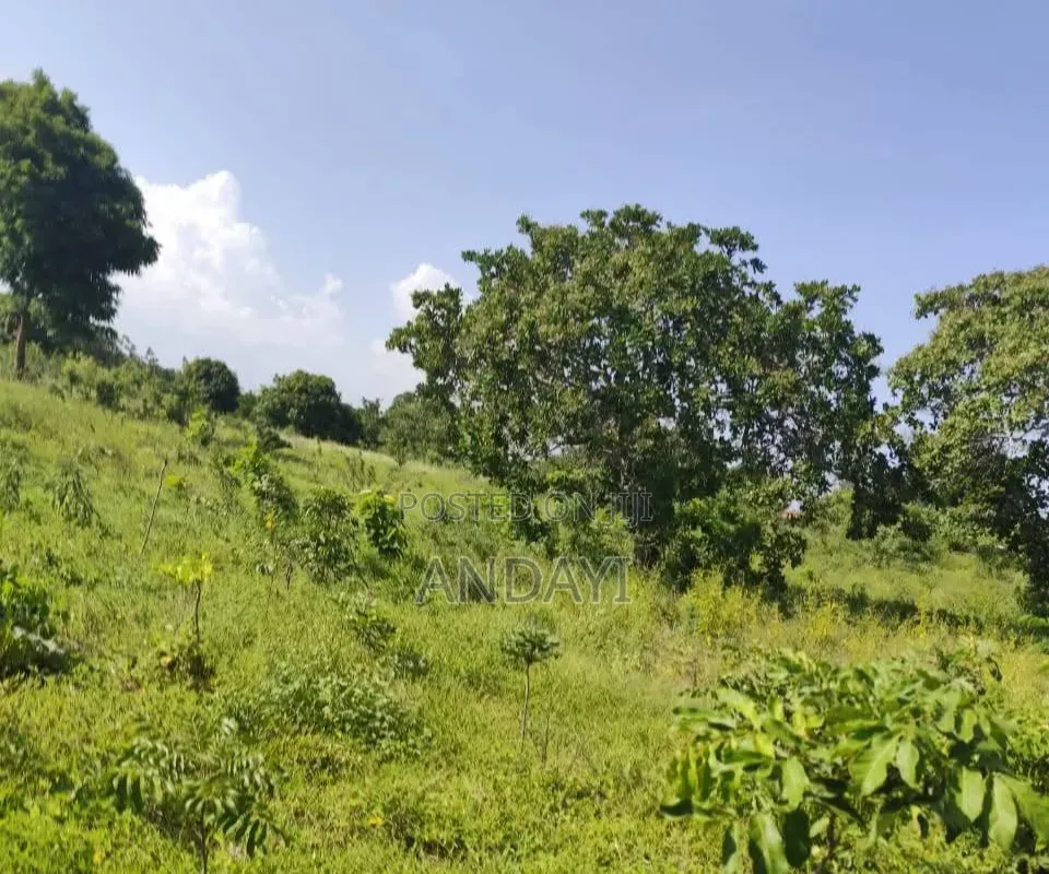10 Acres Farmland In Malindi Along River Galana For Sale in Kakuyuni