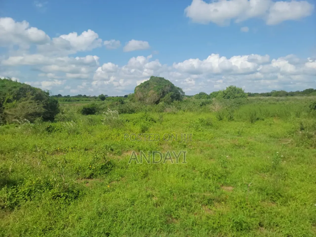 10 Acres Farmland In Malindi Along River Galana For Sale in Kakuyuni