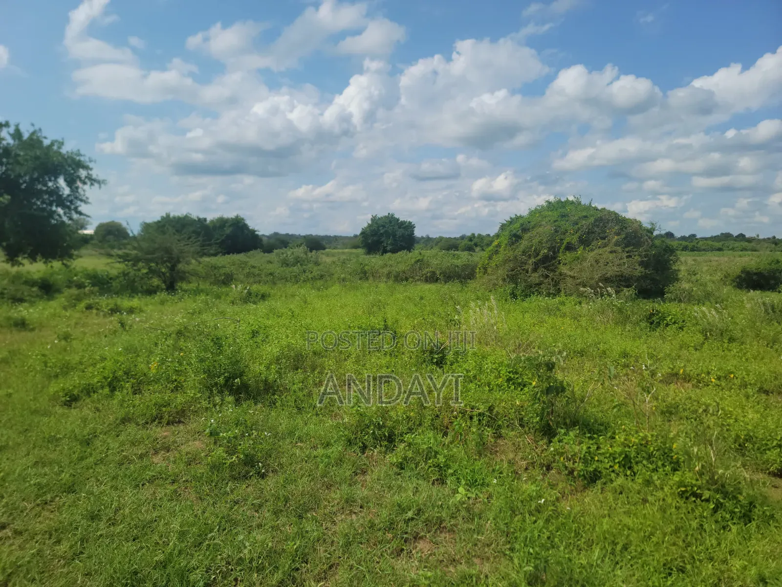 10 Acres Farmland In Malindi Along River Galana For Sale in Kakuyuni