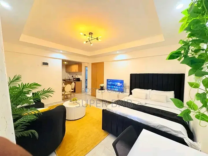 Spacious and Cozy Studio Airbnb in Kileleshwa in Kileleshwa