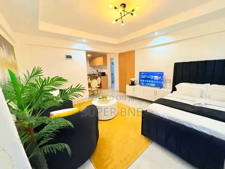 Spacious and Cozy Studio Airbnb in Kileleshwa in Kileleshwa