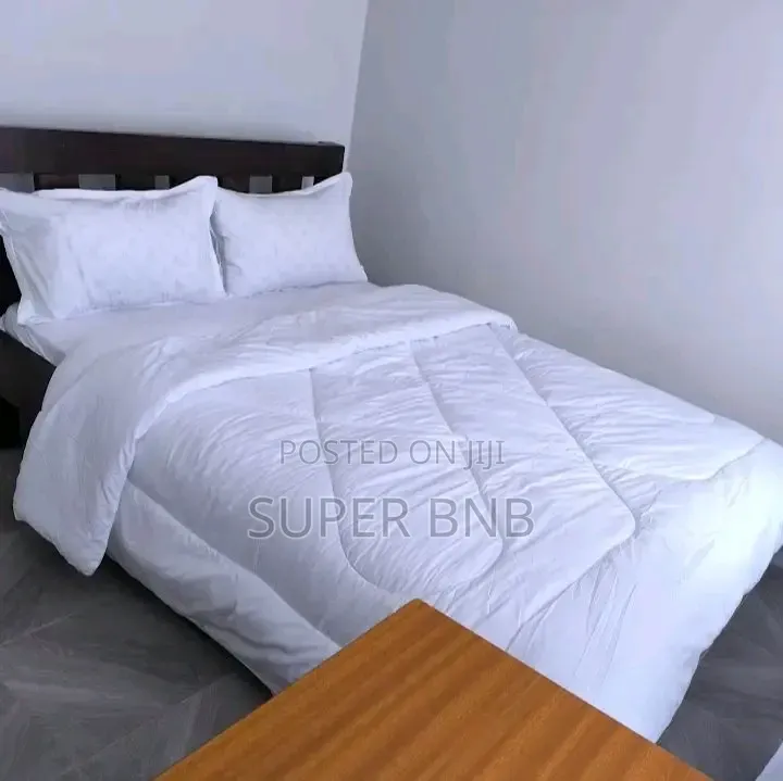 1 Bedroom Airbnb – Kitengela Own Compound in Kitengela