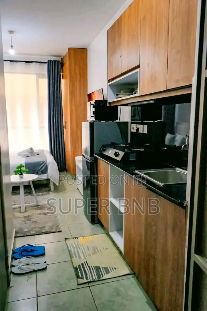 Fully Furnished Studio, One, Two and Three Bedroom in THIKA ROAD BNBS in Kamakis