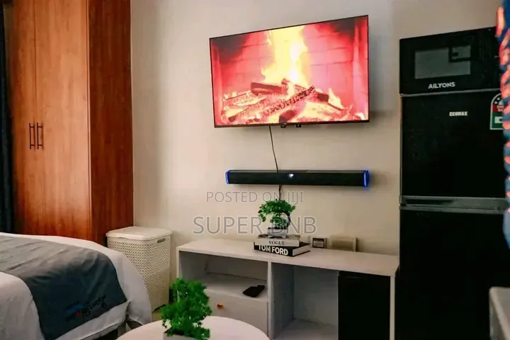 Fully Furnished Studio, One, Two and Three Bedroom in THIKA ROAD BNBS in Kamakis