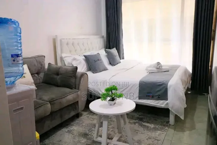 Fully Furnished Studio, One, Two and Three Bedroom in THIKA ROAD BNBS in Kamakis