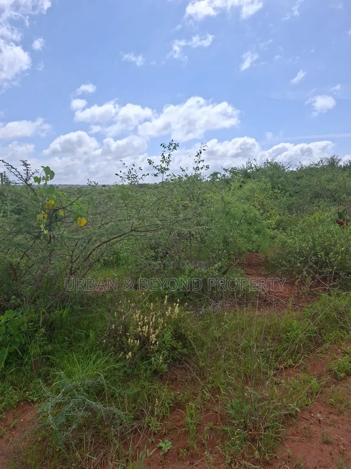 1⁄8 Acre Plots for Sale -Matuu in Matuu